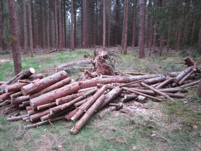 Bildla Nummä 006.jpg