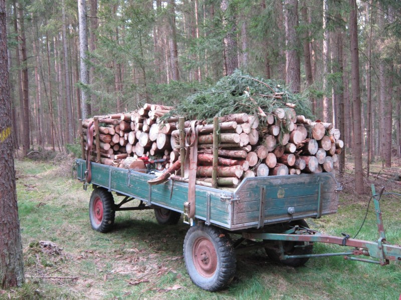 Bildla Nummä 008.jpg