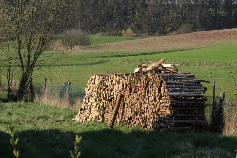 Bildla Nummä 005.jpg