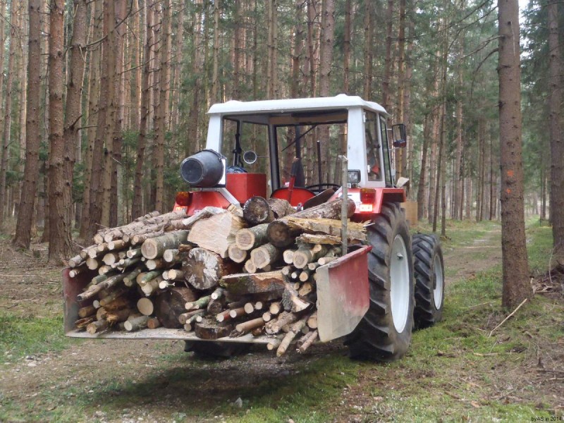Brennholzrohmaterialsammlung_P4010003_75.JPG