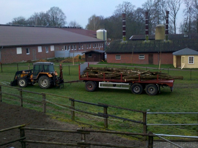 Holz transport 2.jpg