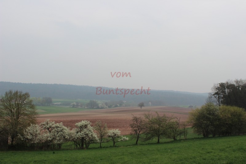 Bildla Nummä 002.jpg