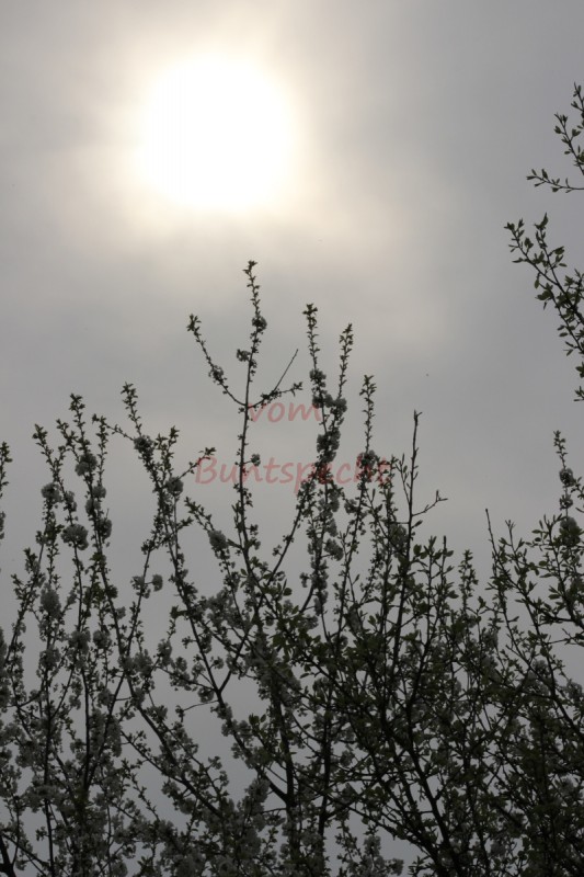 Bildla Nummä 011.jpg