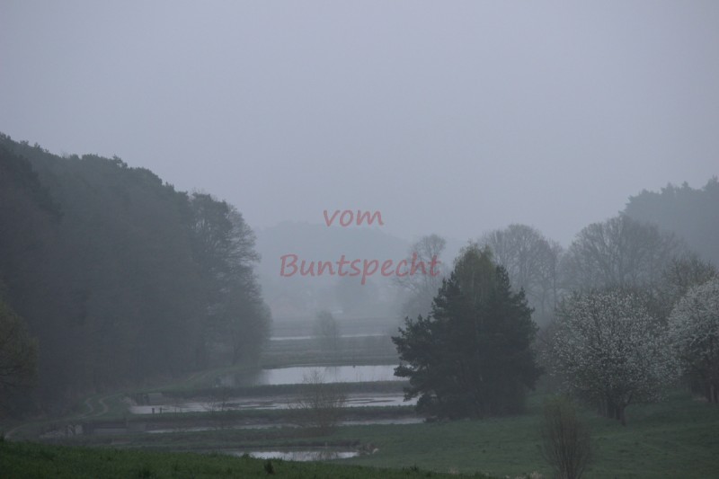 Bildla Nummära 002.jpg