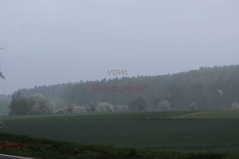 Bildla Nummära 004.jpg