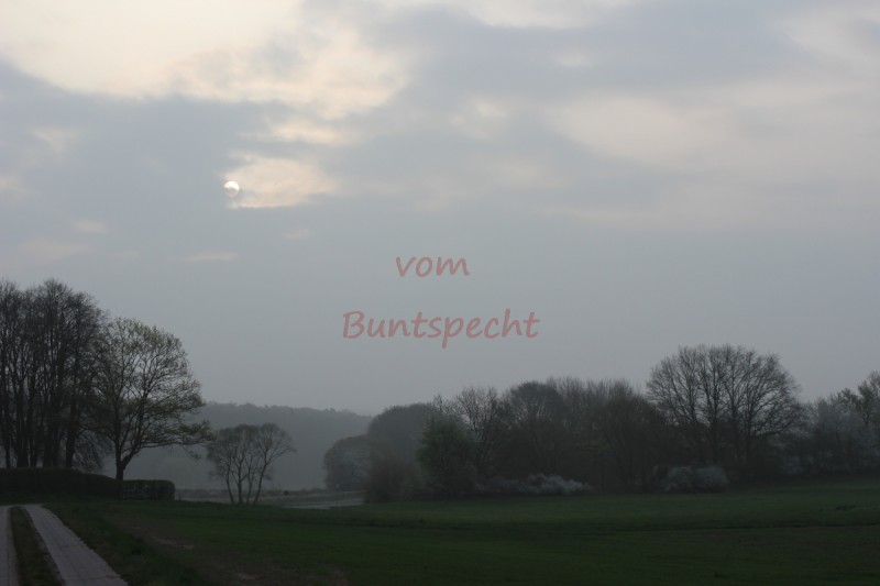 Bildla Nummära 005.jpg