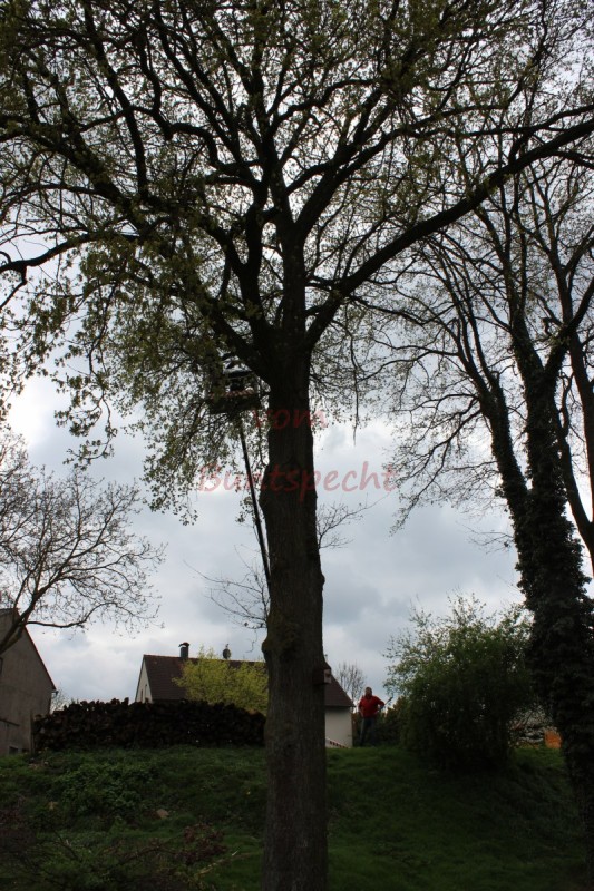 Bildla Nummära 001.jpg