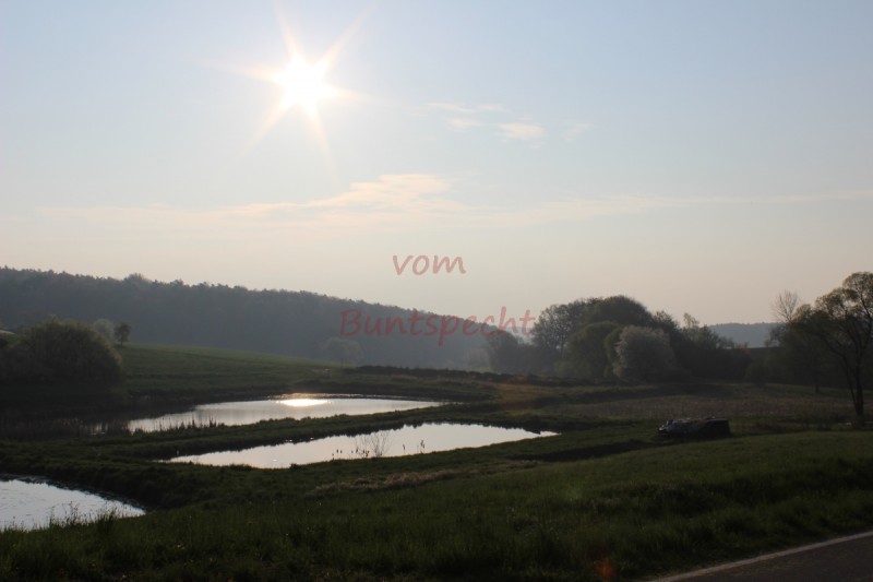 Bildla Nummära 002.jpg