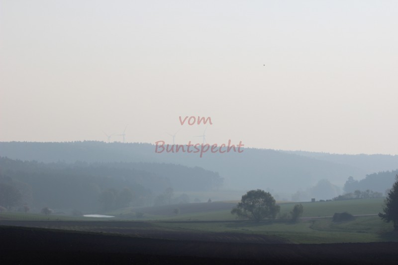 Bildla Nummära 005.jpg