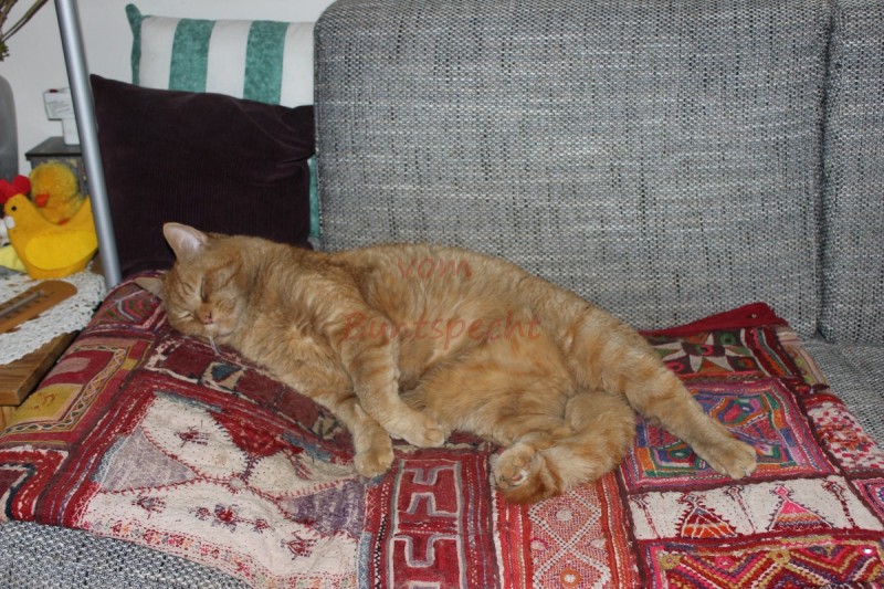 Bildla Nummära 007.jpg