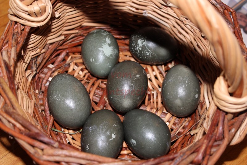 Bildla Nummära 008.jpg