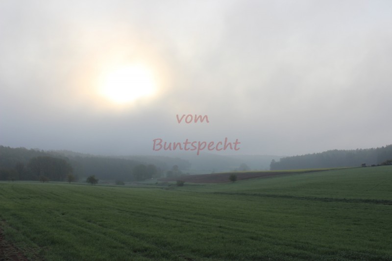 Bildla Nummära 001.jpg