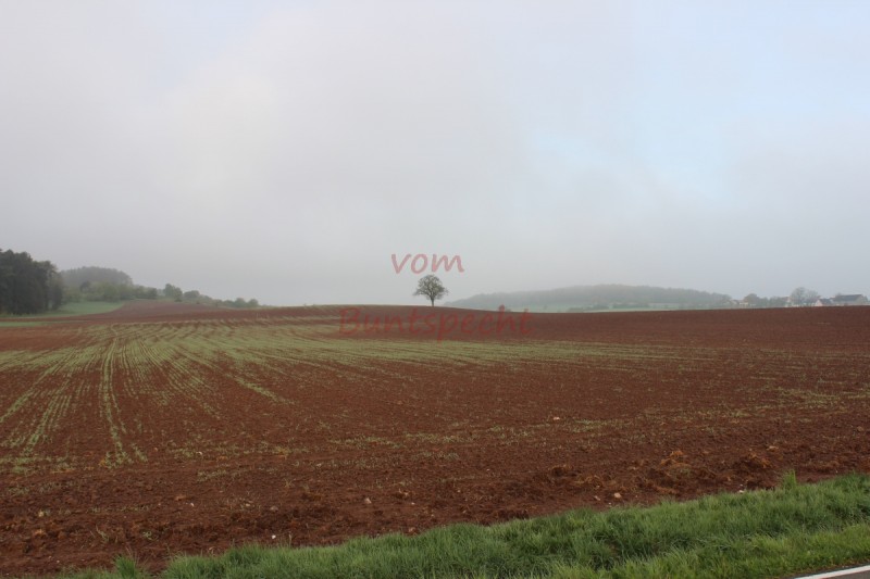 Bildla Nummära 002.jpg