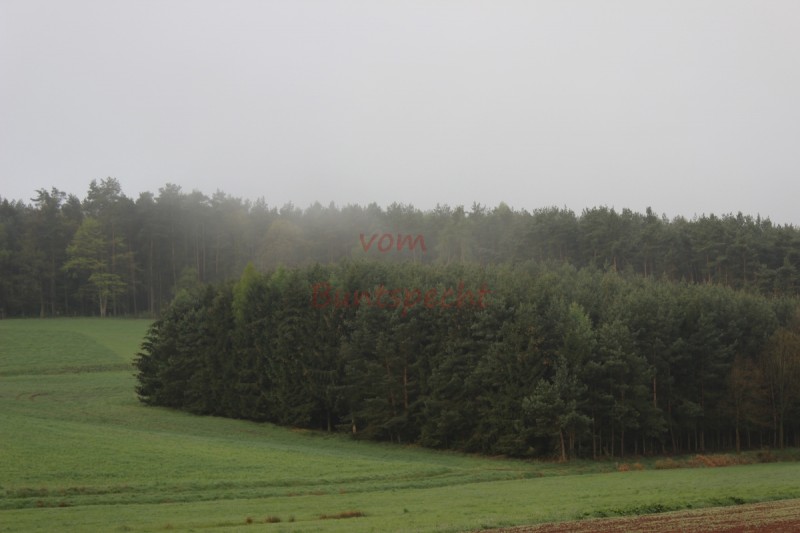 Bildla Nummära 003.jpg