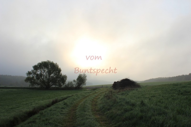 Bildla Nummära 004.jpg