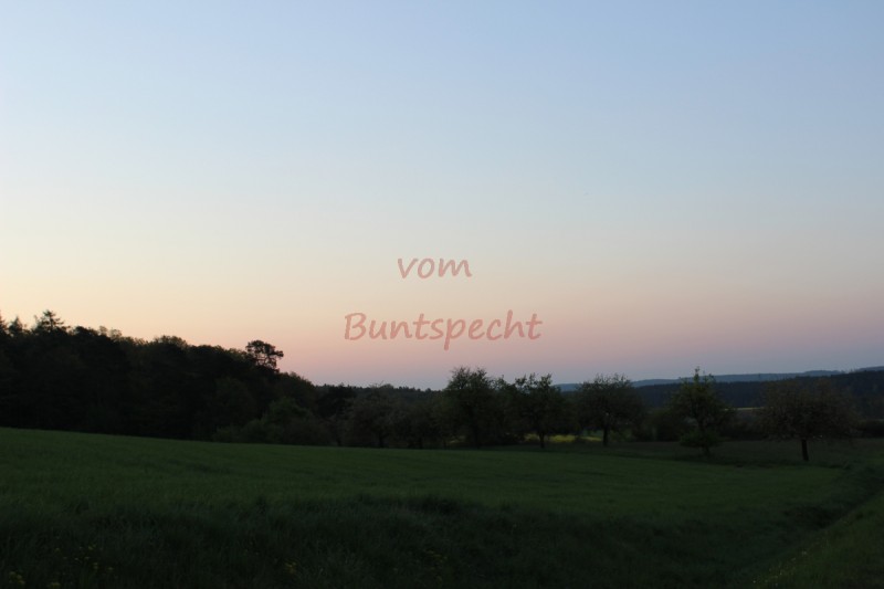 Bildla Nummära 006.jpg