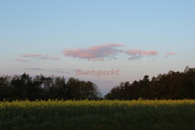 Bildla Nummära 007.jpg