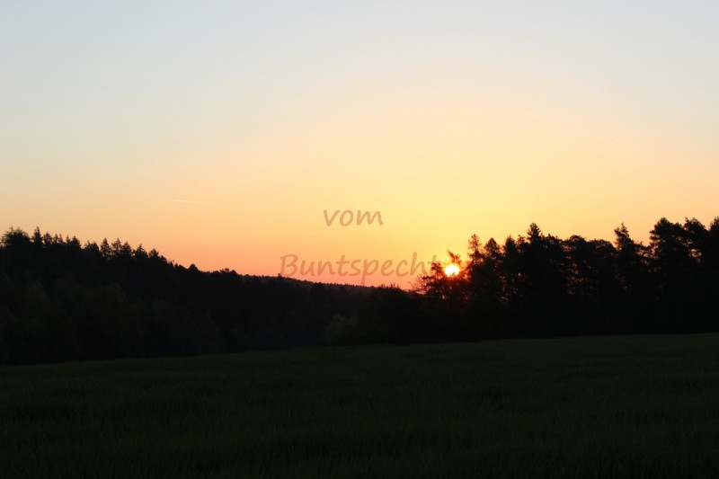 Bildla Nummära 008.jpg