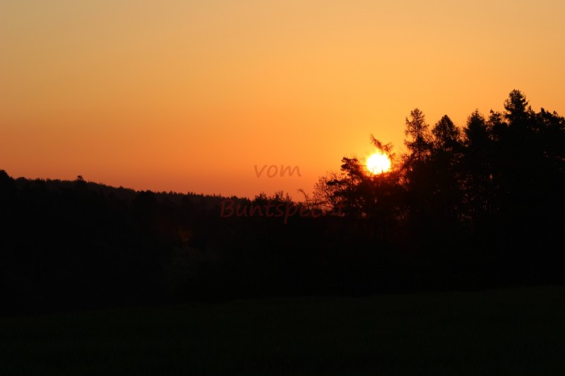 Bildla Nummära 010.jpg