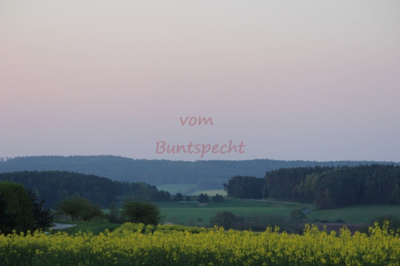 Bildla Nummära 011.jpg