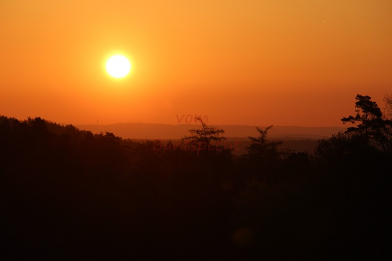 Bildla Nummära 012.jpg