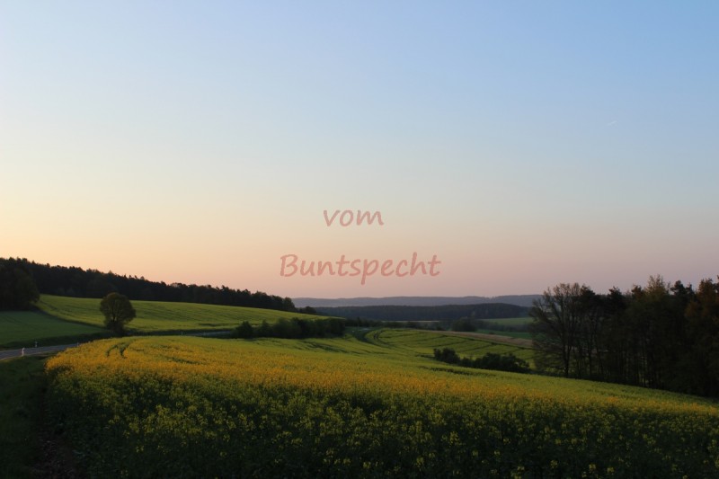 Bildla Nummära 013.jpg