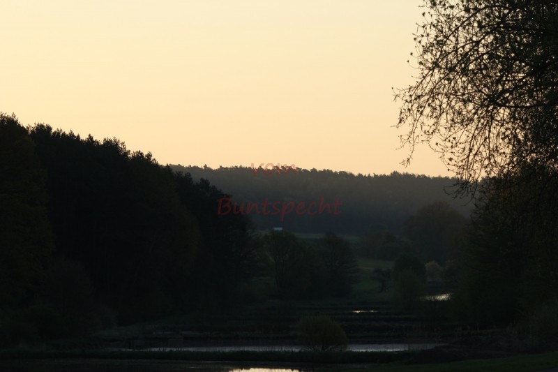 Bildla Nummära 014.jpg