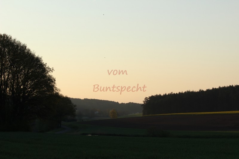 Bildla Nummära 015.jpg