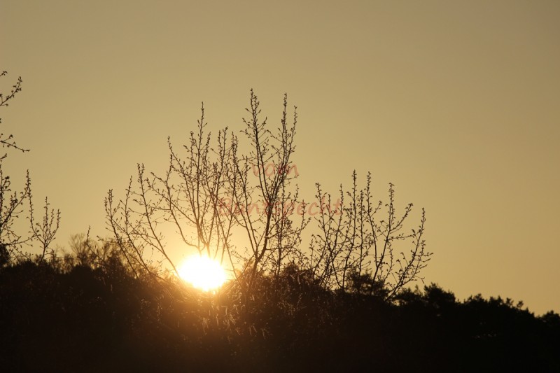 Bildla Nummära 016.jpg