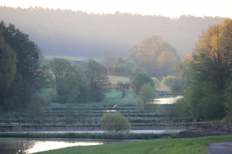 Bildla Nummära 017.jpg