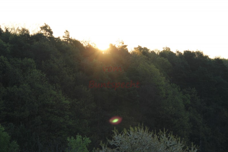 Bildla Nummära 019.jpg