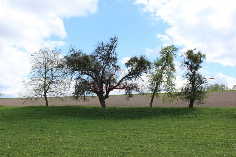 Bildla Nummära 020.jpg