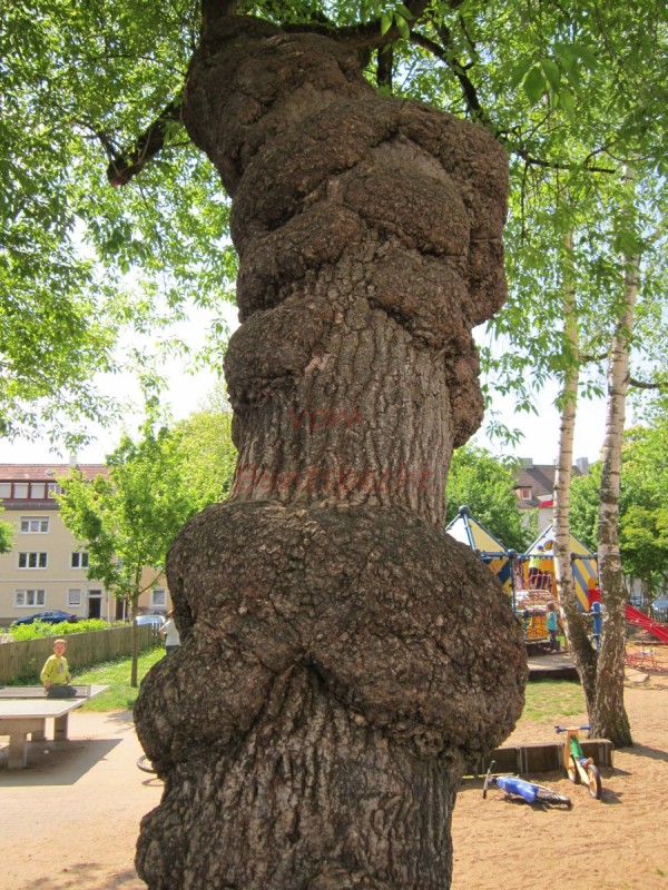 Bildla Nummära 004.jpg