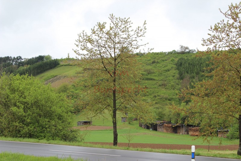 Bildla Nummära 004.jpg