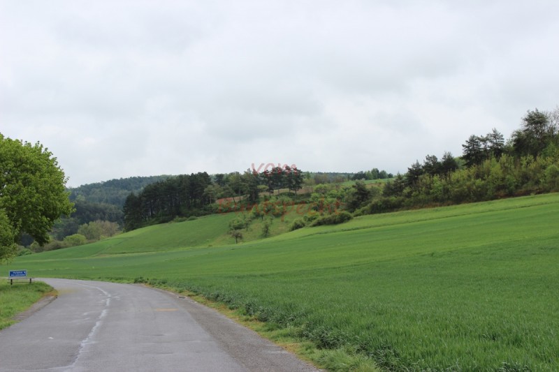 Bildla Nummära 005.jpg