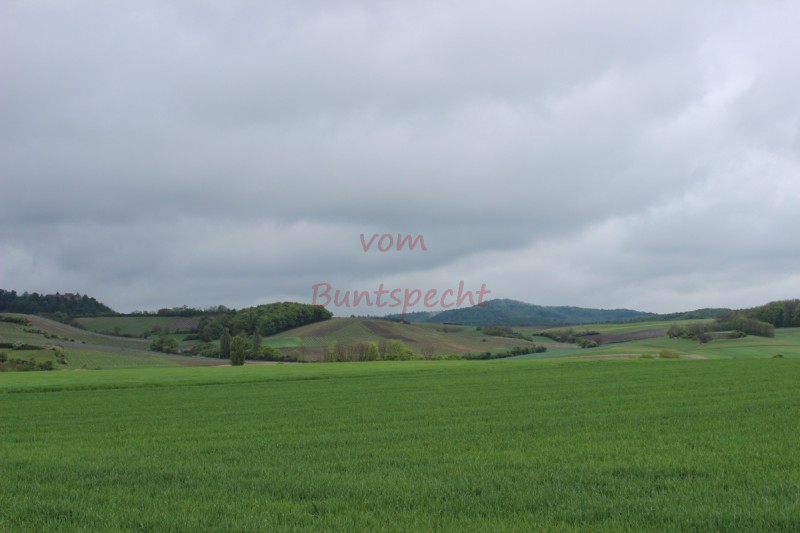 Bildla Nummära 006.jpg