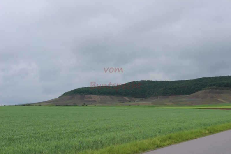 Bildla Nummära 007.jpg