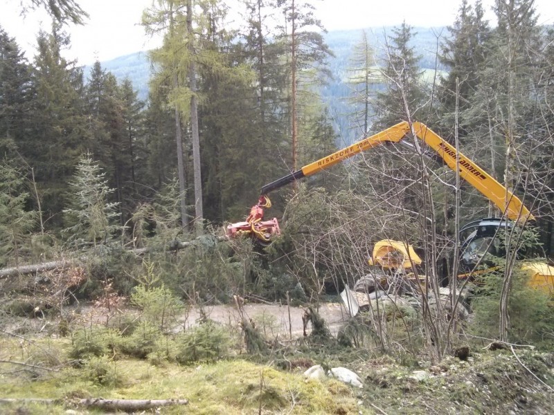 IMG_20140428_142327 (Medium).jpg