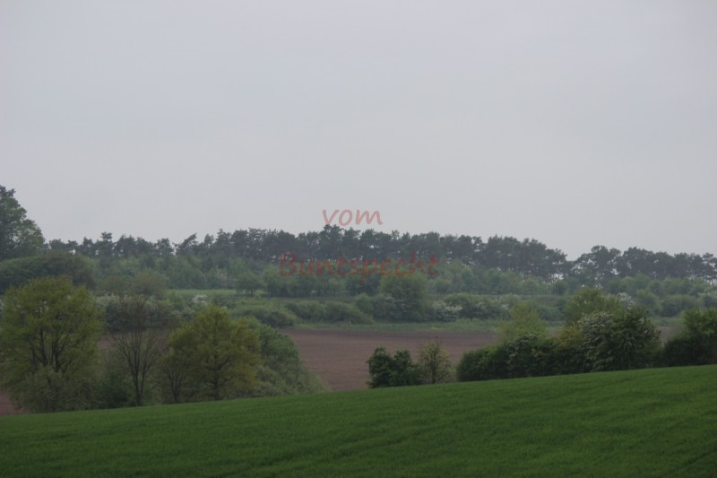 Bildla Nummära 001.jpg