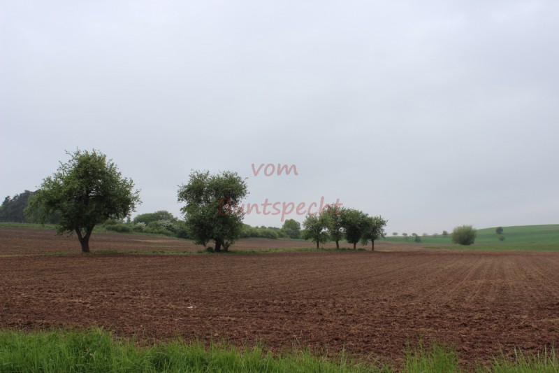 Bildla Nummära 003.jpg