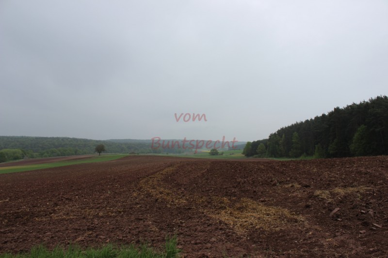 Bildla Nummära 004.jpg