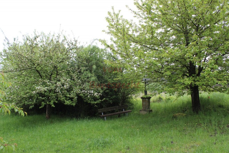 Bildla Nummära 005.jpg