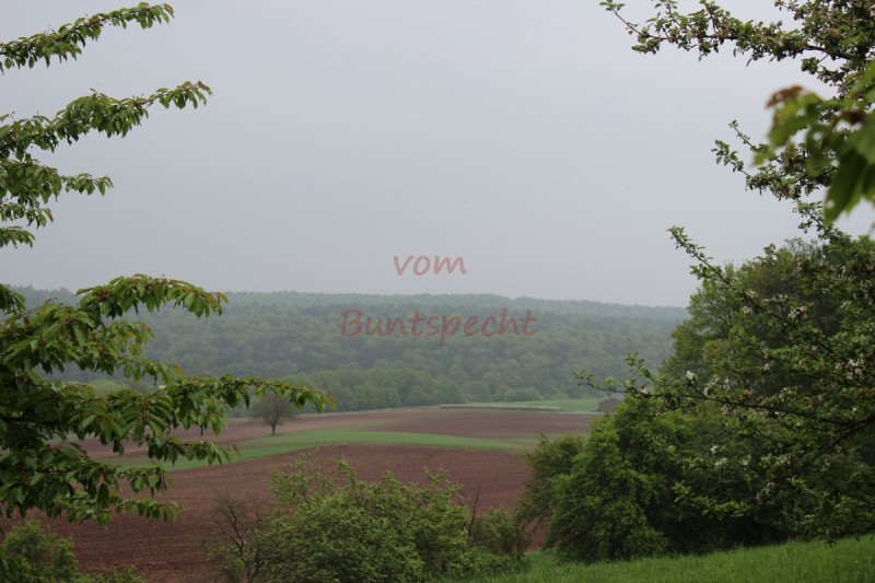 Bildla Nummära 006.jpg