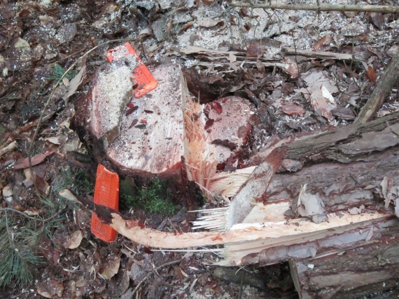 Bildla Nummära 014.jpg