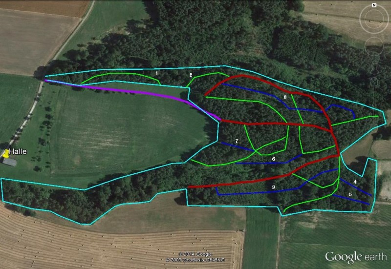 Neue Rückegassen.jpg