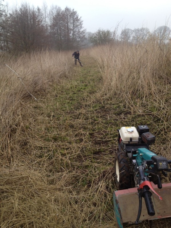 Foto 06.03.14 10 53 25.jpg