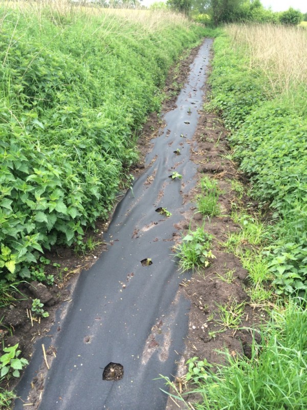 Foto 13.05.14 10 50 57.jpg