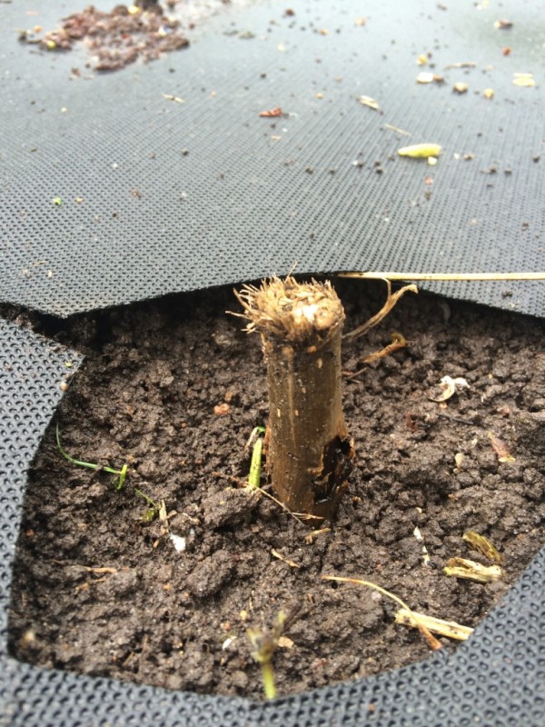 Foto 13.05.14 10 51 34.jpg