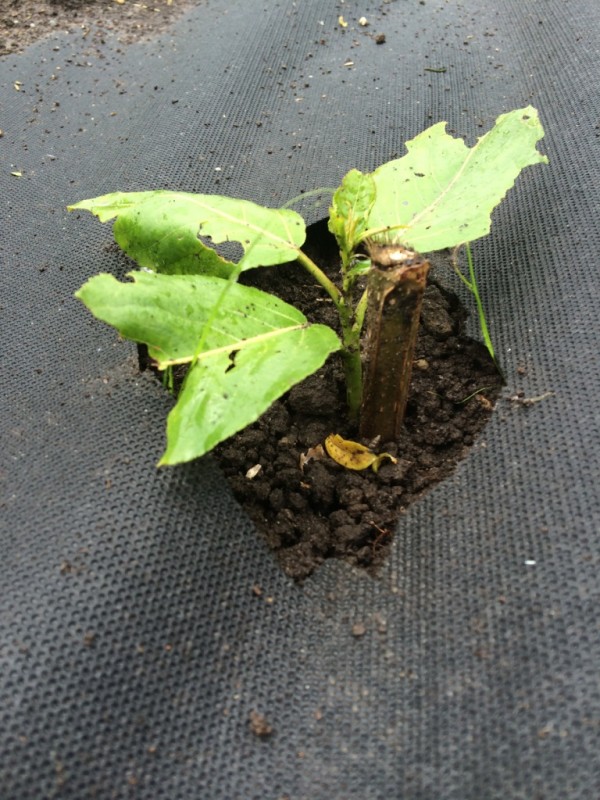 Foto 13.05.14 10 50 41.jpg