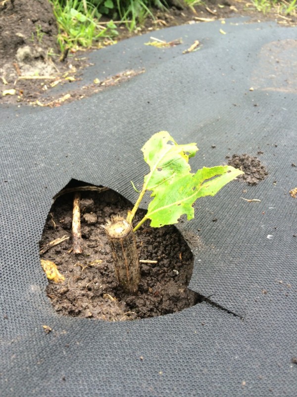 Foto 13.05.14 10 50 06.jpg